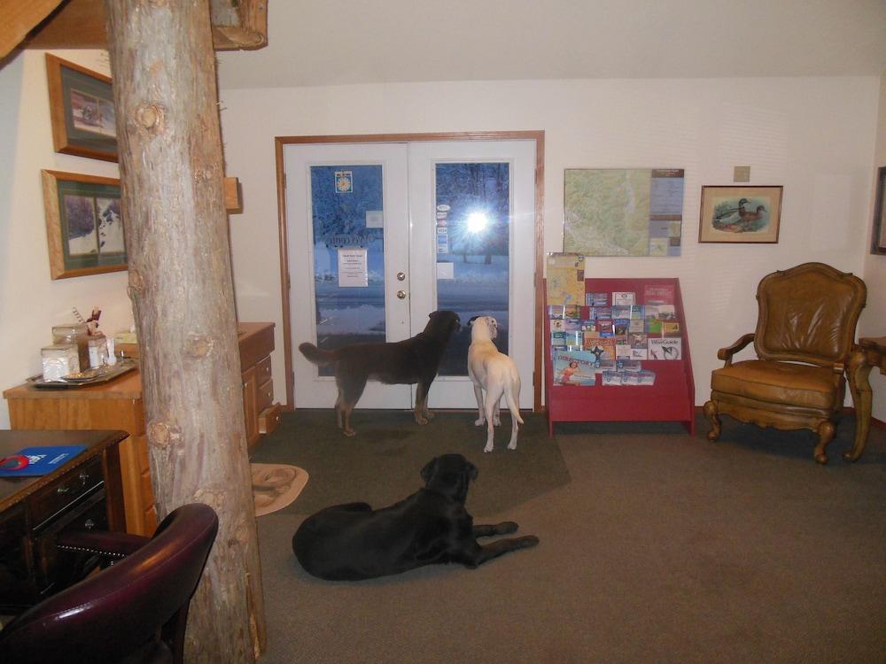 Clark Fork Lodge Eksteriør billede